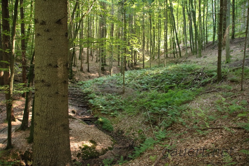 Höchst_im_Odenwald_18.JPG