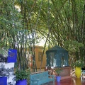 JardinMajorelle-02