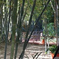 JardinMajorelle-05