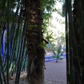 JardinMajorelle-04