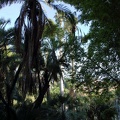JardinMajorelle-09