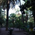 JardinMajorelle-11