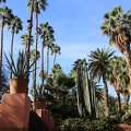 JardinMajorelle-13