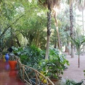 JardinMajorelle-12