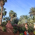 JardinMajorelle-15