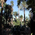 JardinMajorelle-18
