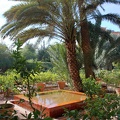 JardinMajorelle-17
