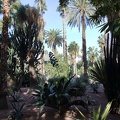 JardinMajorelle-19