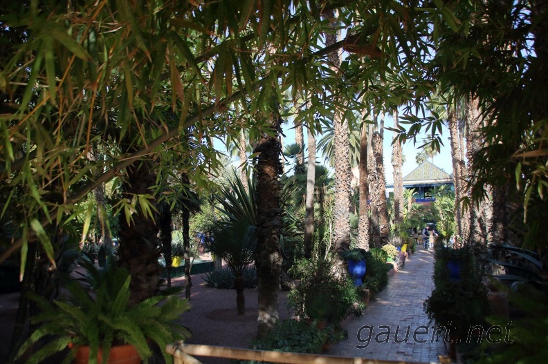 JardinMajorelle-21.jpg