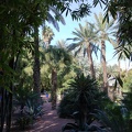 JardinMajorelle-22