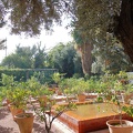 JardinMajorelle-20