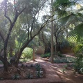 JardinMajorelle-23