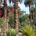 JardinMajorelle-27