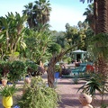 JardinMajorelle-31