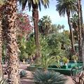 JardinMajorelle-30