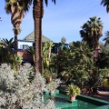 JardinMajorelle-35
