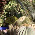 JardinMajorelle-37