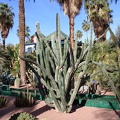 JardinMajorelle-40