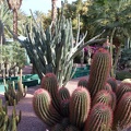 JardinMajorelle-39