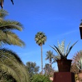 JardinMajorelle-42