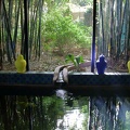 JardinMajorelle-44