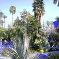 JardinMajorelle-49