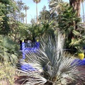 JardinMajorelle-50
