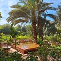 JardinMajorelle-51
