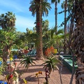 JardinMajorelle-53