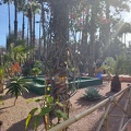 JardinMajorelle-55