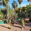 JardinMajorelle-54