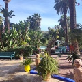 JardinMajorelle-56