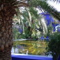 JardinMajorelle-58