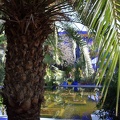 JardinMajorelle-60
