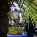 JardinMajorelle-59