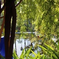 JardinMajorelle-63