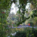 JardinMajorelle-64