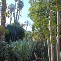 JardinMajorelle-68