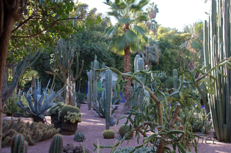 JardinMajorelle-69.jpg