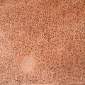 SaadierTomb-23
