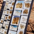 Ait-Ben-Haddou-35