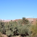 Ait-Ben-Haddou-48