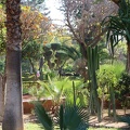 Cyber-Parc-17