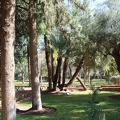 Cyber-Parc-28